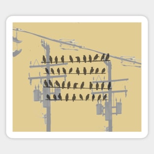 Birds On A Wire - Gold Sticker